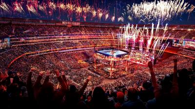 Raymond James Stadium, WWE Divas Wiki